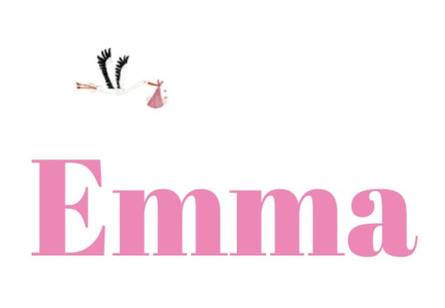 Geboortekaartje typografisch met ooievaar - Emma