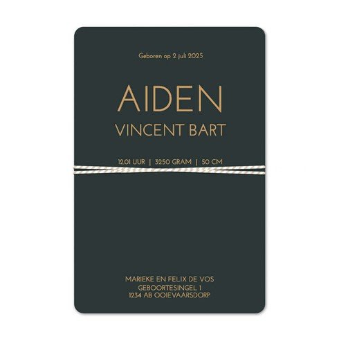 Labelkaartje jungle met vogel en rondhoeken - Aiden