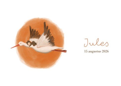 Dubbel geboortekaartje met ooievaar en slapende baby - Jules