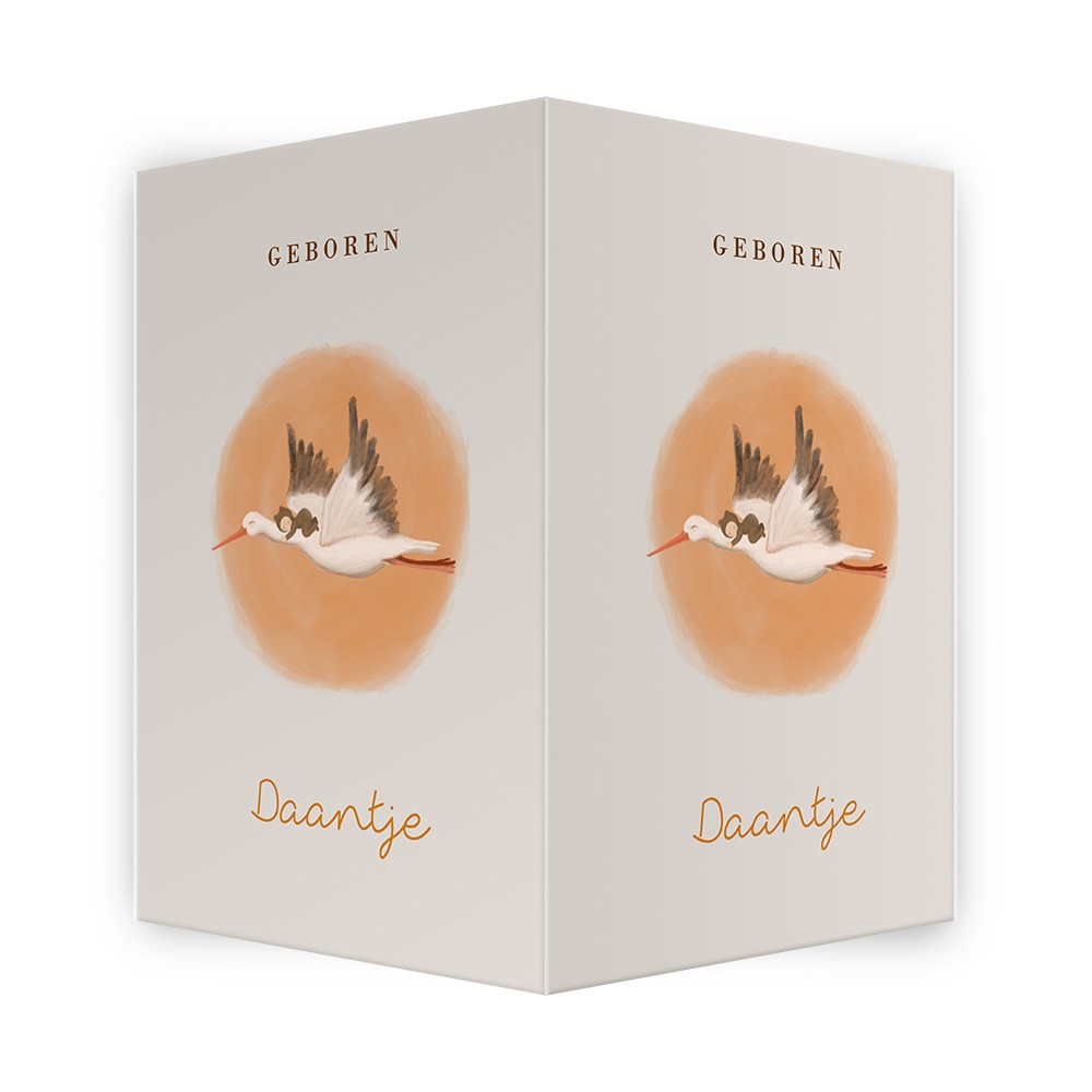 Geboortebord raam met ooievaar en baby 50x70cm - Daantje