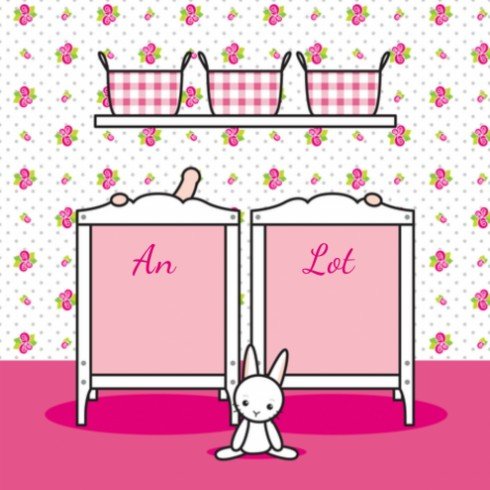 Geboortekaartje An-Lot - Gb