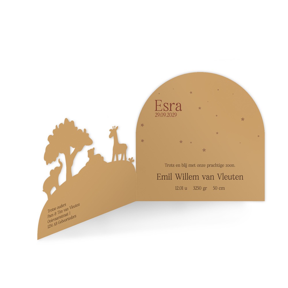 Geboortekaartje unisex met jungle dieren in unieke 3d vorm- Esra