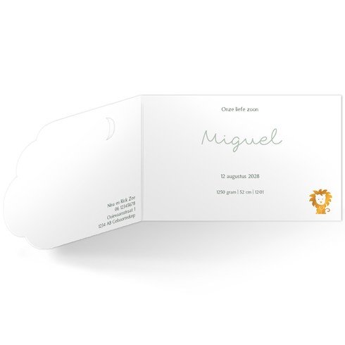 Jongens geboortekaartje met wolk vorm en maan large -  Miguel