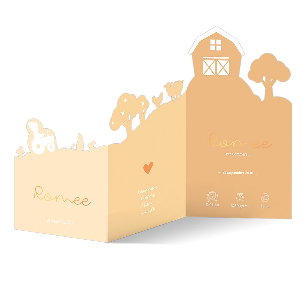 Geboortekaartje meisje in een groot 3d met boerderij thema met dieren - Romee