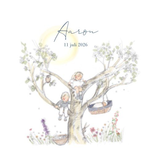 Geboortekaartje voor broertje met illustratie en broer en zus - Aaron
