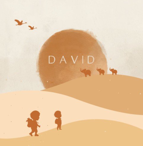 Jongens geboortekaartje met kleine broer op avontuur in beige tinten - David