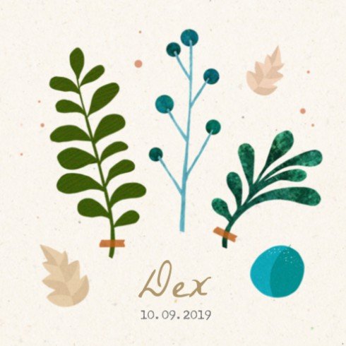 Geboortekaartje Dex - SV