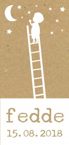 Geboortekaartje dubbel - Fedde DIY