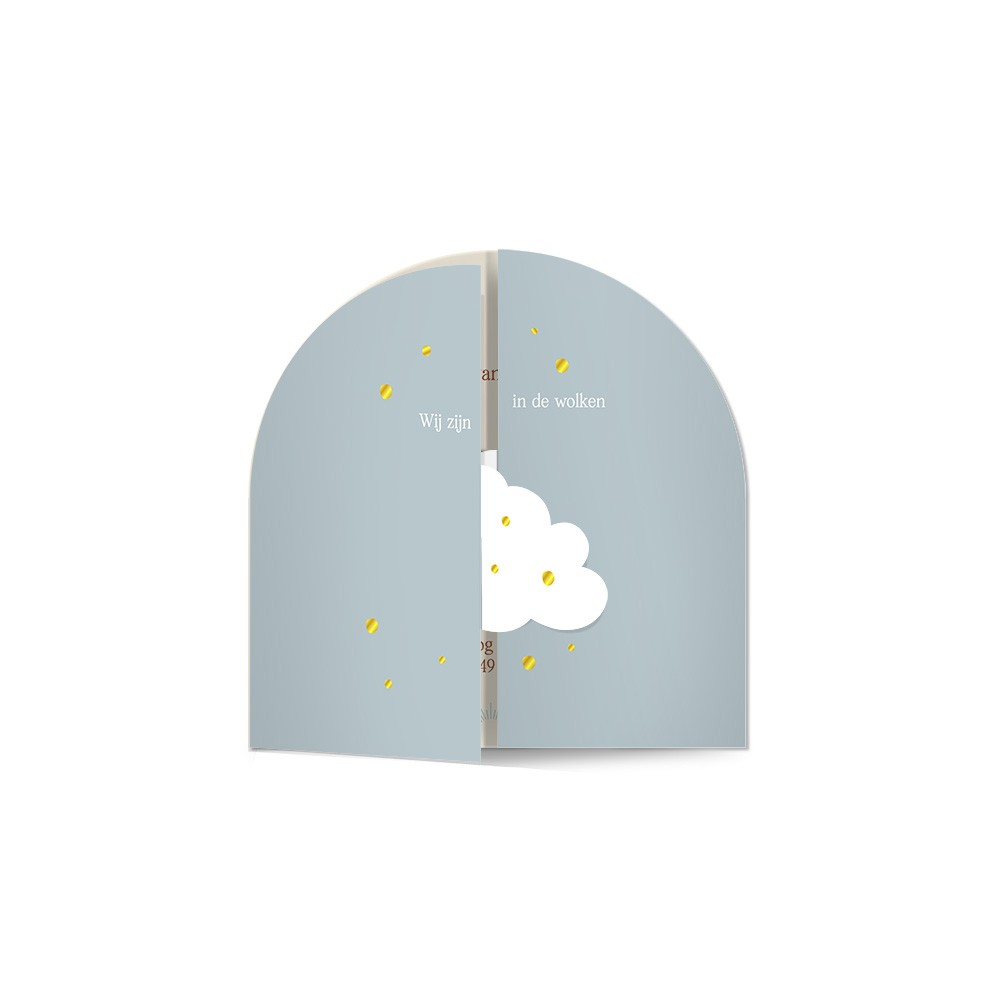 Unisex geboortekaartje met bijzondere wolkvorm en goudfolie - Skye