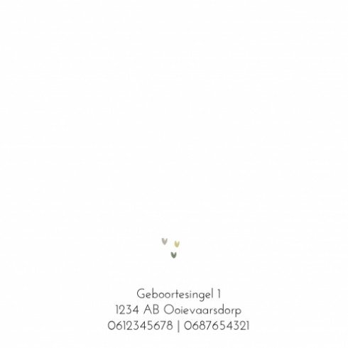 kaart binnenzijde links