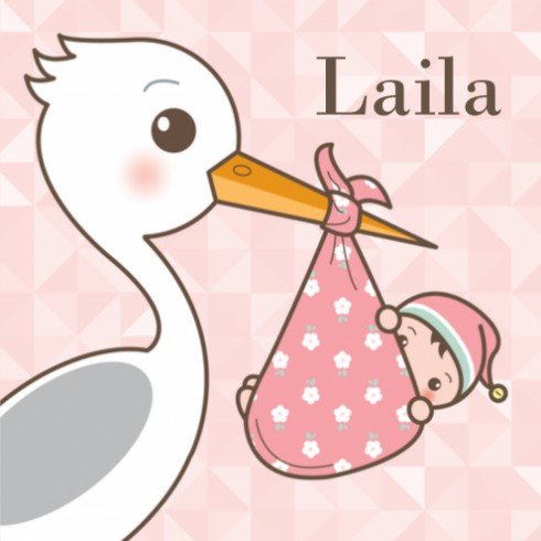Geboortekaartje Laila -  Gb