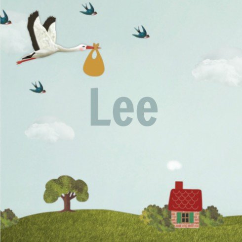Geboortekaartje Lee - vierkant - LK