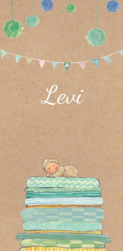 Geboortekaartje Levi met broers- EB