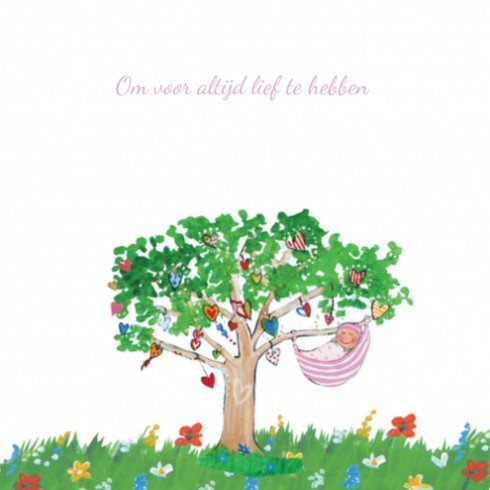 kaart binnenzijde links