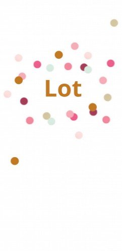 Geboortekaartje Lot FOLIE - LK