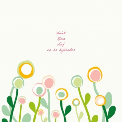 kaart binnenzijde links