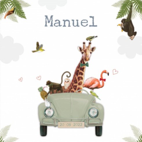 Geboortekaartje Manuel - LK