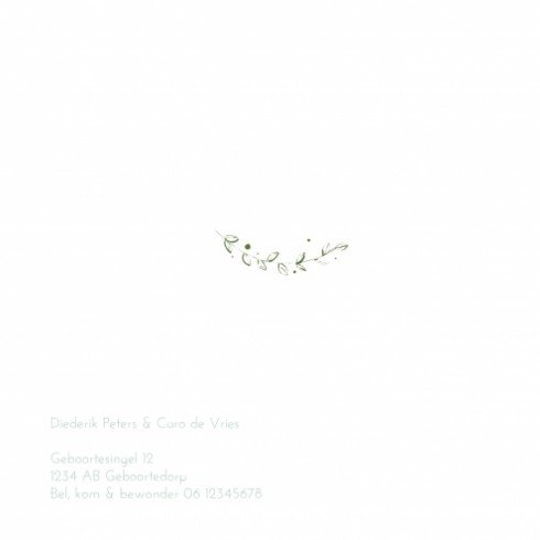 kaart binnenzijde links