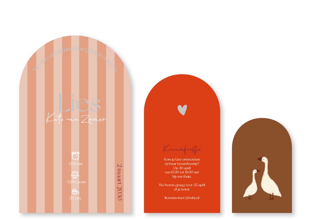 Geboortekaartje meisje met trendy strepen in aardetinten met bijzondere vorm - Lies