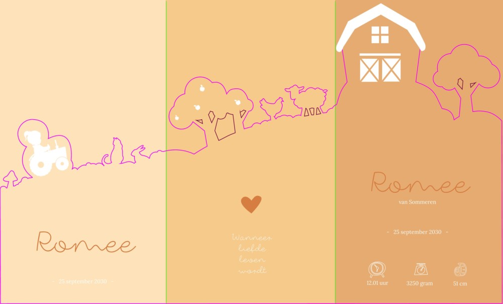 Geboortekaartje meisje in een groot 3d met boerderij thema met dieren - Romee