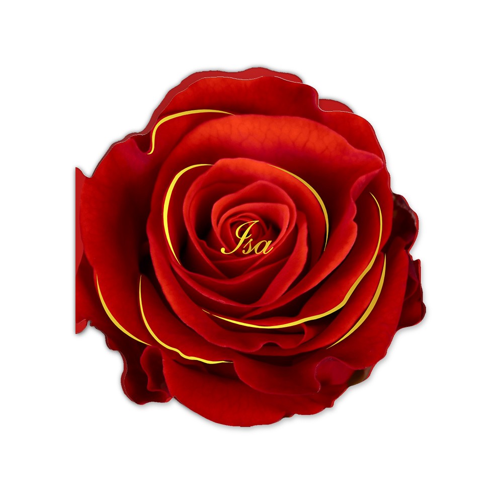 Geboortekaartje meisje in rozenvorm met goudfolie - Isa