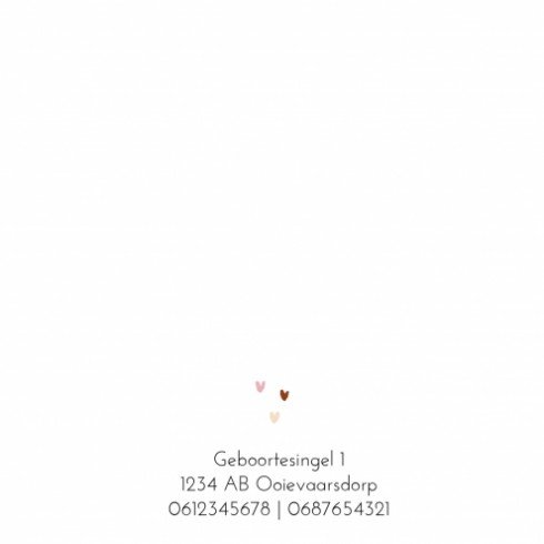 kaart binnenzijde links