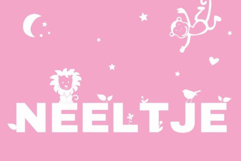 Geboortekaartje Neeltje - DIY