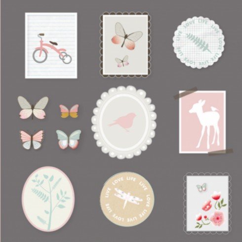 Geboortekaartje - Sasha DZ