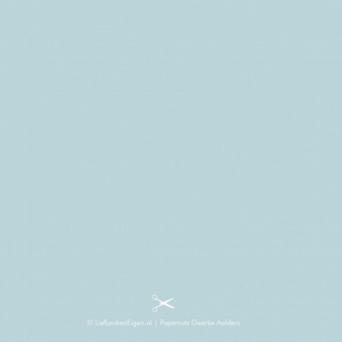 Geboortekaartje Vailliant - GA