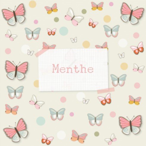 Geboortekaartje vlinders - Menthe