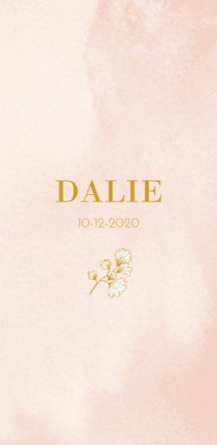 Geboortekaartje met roze watercolor en goudfolie takje - Dalie