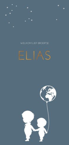 Geboortekaartje wereldbol ballon broertjes - Elias