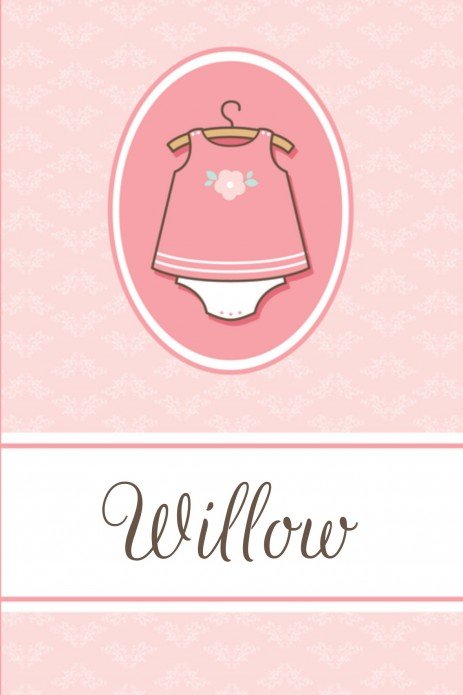 Geboortekaartje Willow - GB