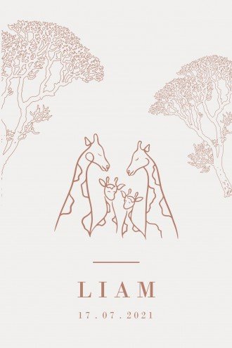 jongenskaartje lijntekening giraffen dubbel - Liam