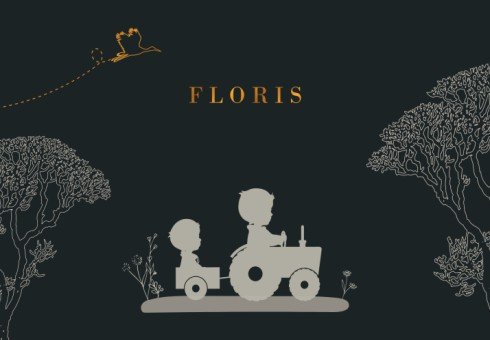 Jongenskaartje met broertjes en tractor - Floris