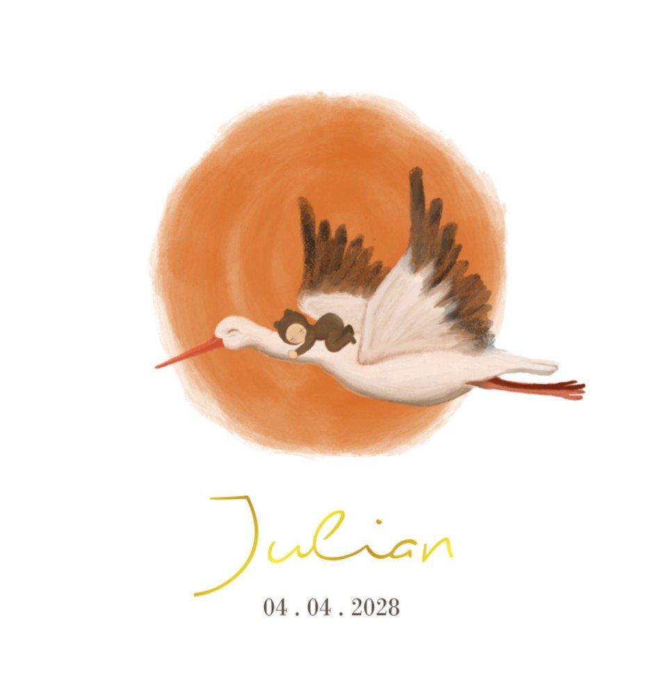 Lief dubbel kaartje met een slapende baby op ooievaar voor de zon - Julian