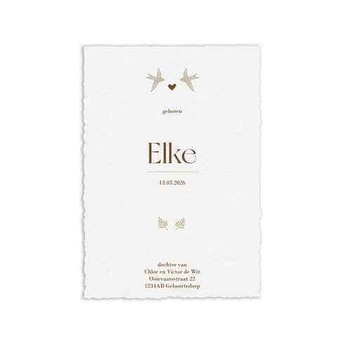Geboortekaartje handgeschept papier met vogeltjes en takjes - Elke