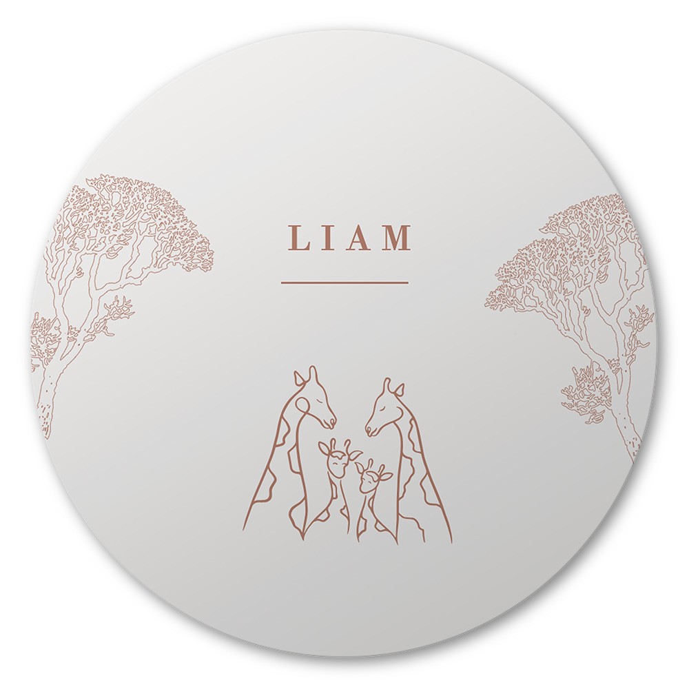 Liefdevolle raamsticker giraf familie 60x60 - Liam