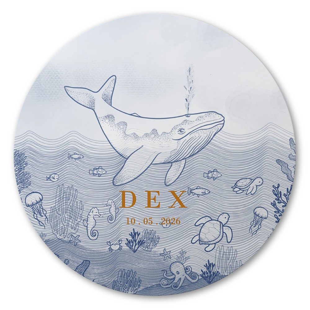 Onderwaterwereld ronde raamsticker 100x100 - Dex