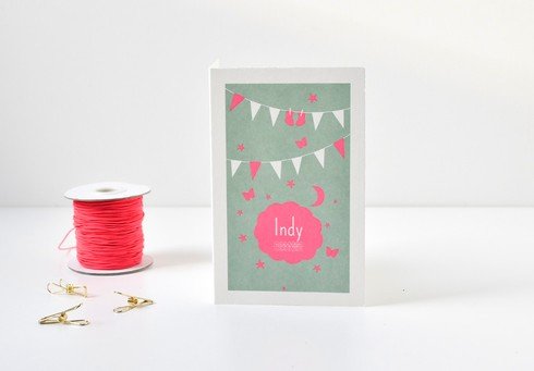 Oud Hollands Vlaggetjes wolk fluor Indy