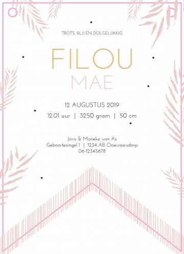 Vaandel geboortekaartje - Filou