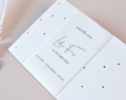 Geboortekaartje met transparante wikkel voorbeeld